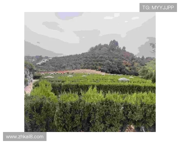 凯发ag注册流程详解助你轻松开启线上娱乐新体验