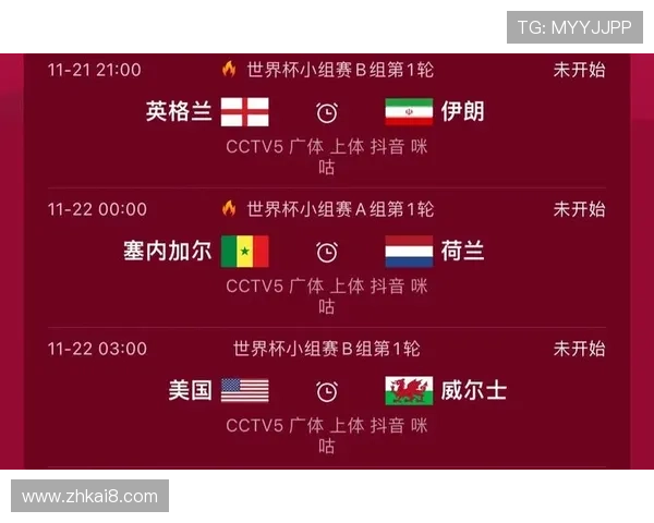 世界杯埃及伊朗比赛中的关键战术变化与比赛走势分析